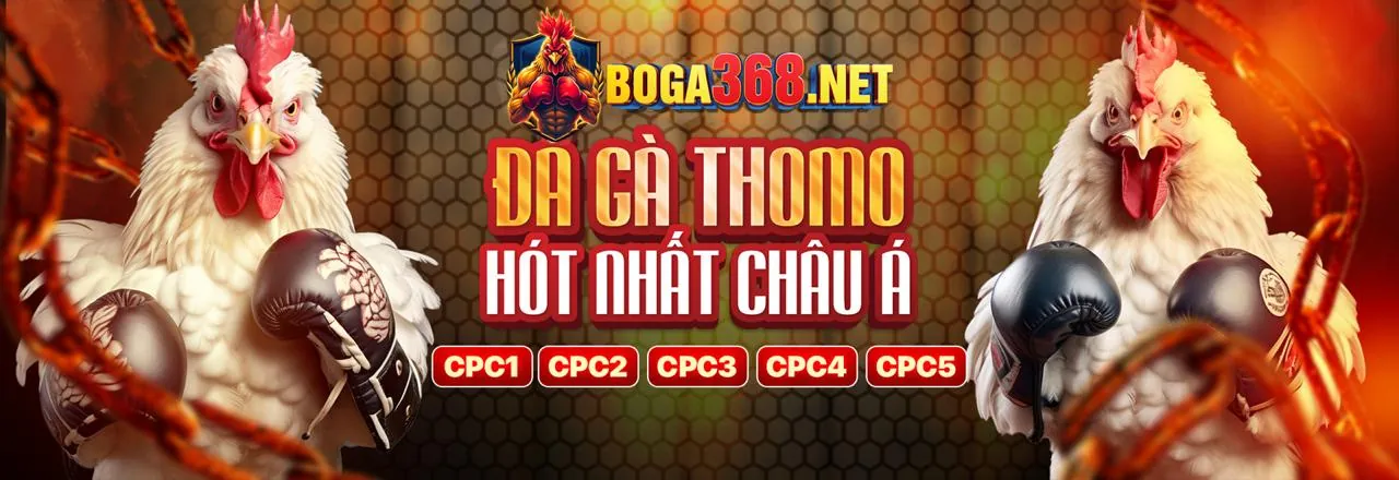 Sòng bạc Trực tiếp o xbet với người chia bài và bàn chơi